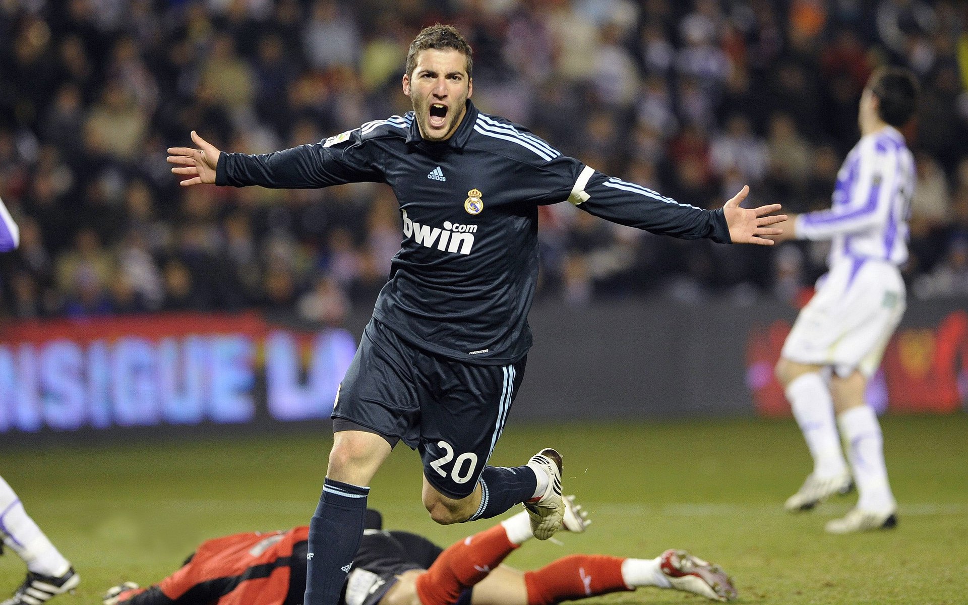 加拿大队引发争议！，凯恩官方宣布重返赛场新规全场沸腾不已